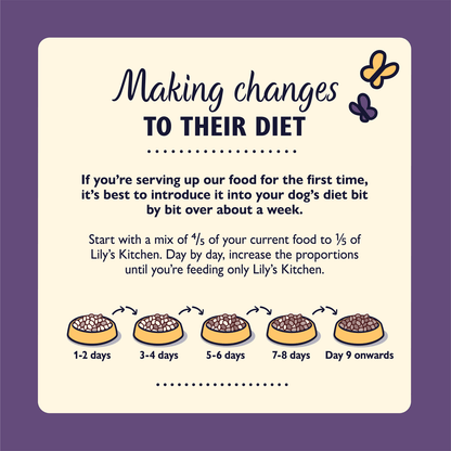 Lily's Kitchen Senior Recipe Complete Nutrition Senior 8 Years+ 1kg - UK Food & Drink - 5060184242042