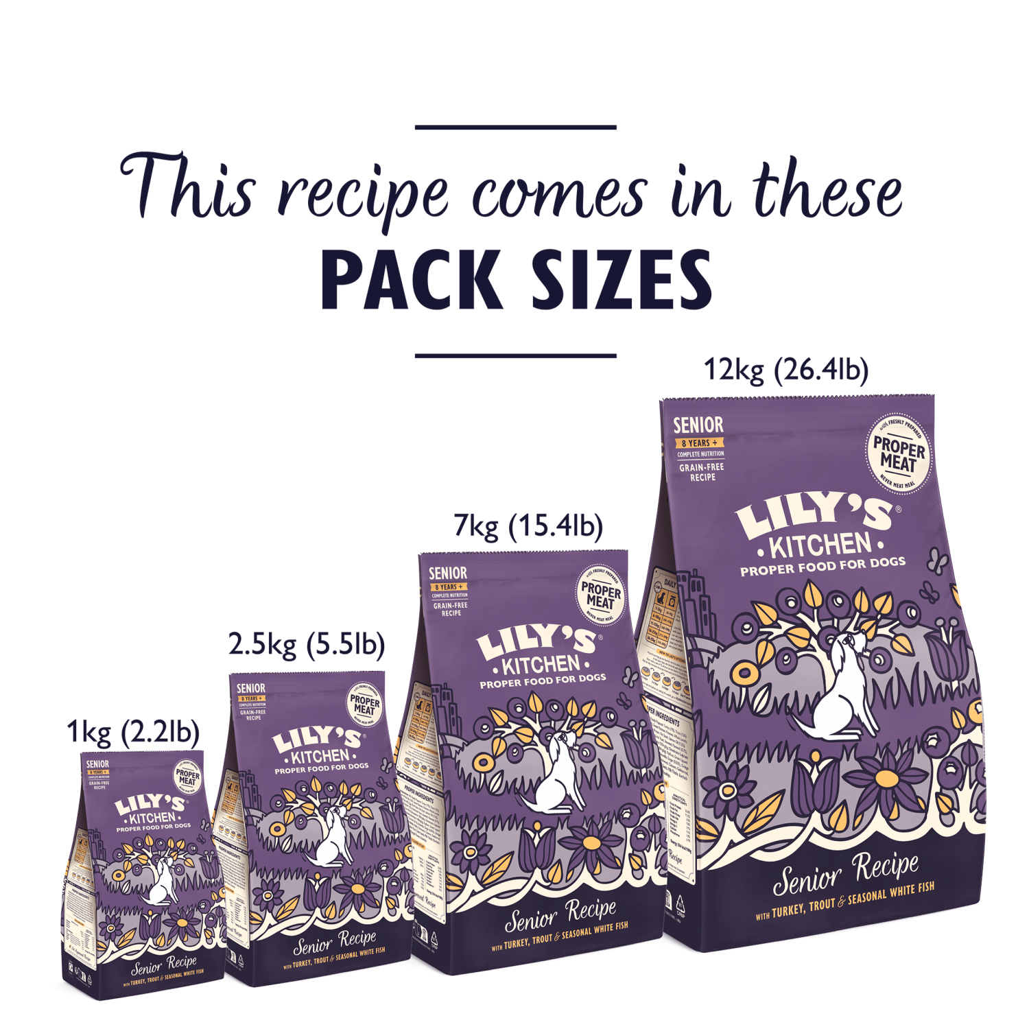 Lily's Kitchen Senior Recipe Complete Nutrition Senior 8 Years+ 1kg - UK Food & Drink - 5060184242042