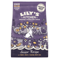 Lily's Kitchen Senior Recipe Complete Nutrition Senior 8 Years+ 1kg - UK Food & Drink - 5060184242042