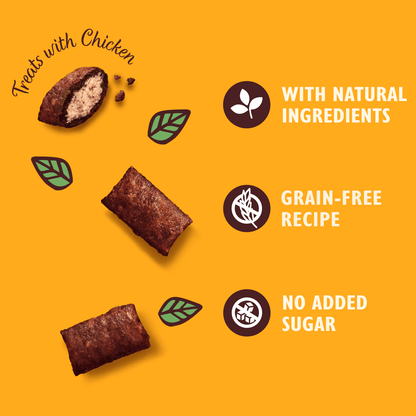 Lily's Kitchen The Ultimate Bribe Treats with Chicken 60g - UK Food & Drink - 5056273602514