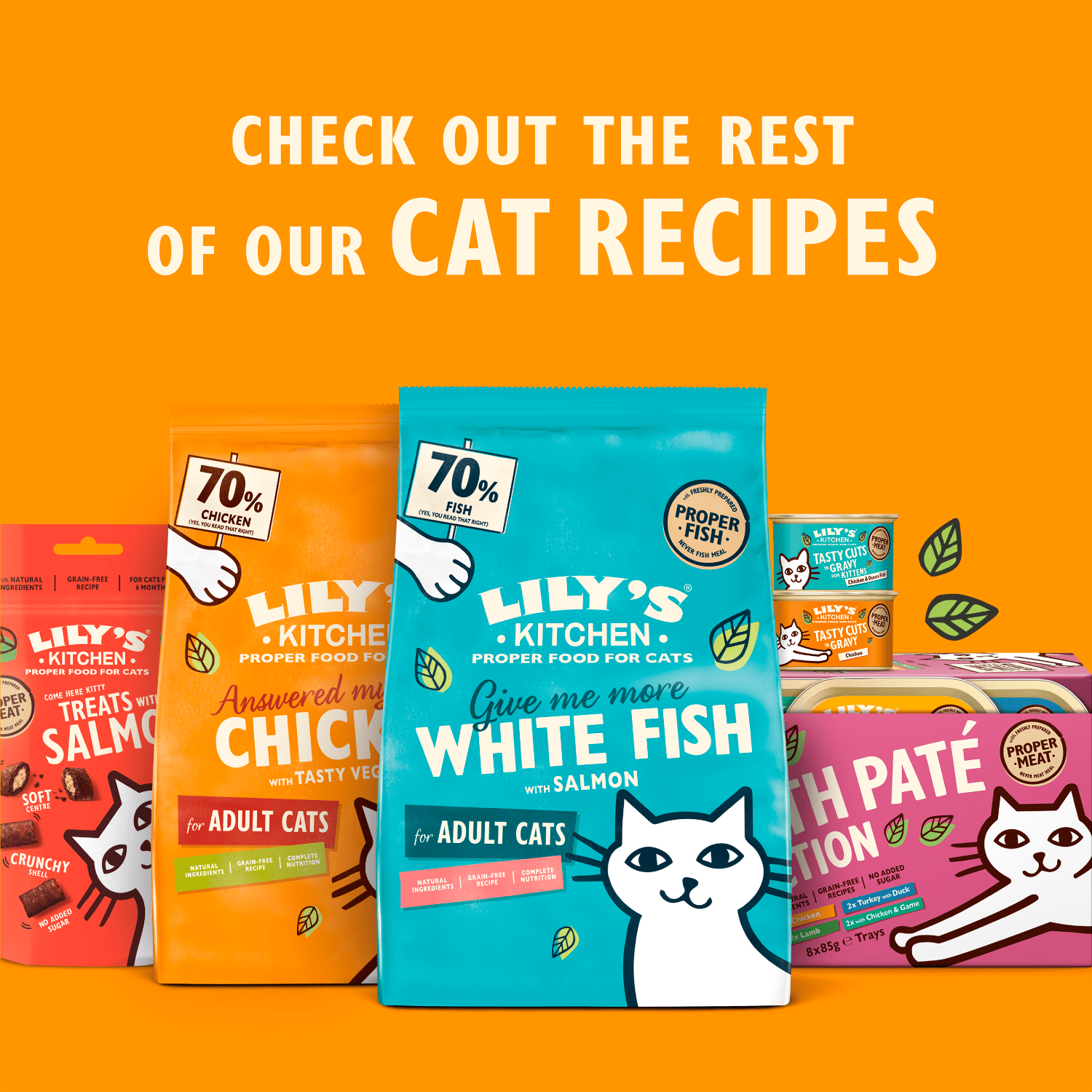 Lily's Kitchen Treats with Salmon 60g - UK Food & Drink - 5056273602538