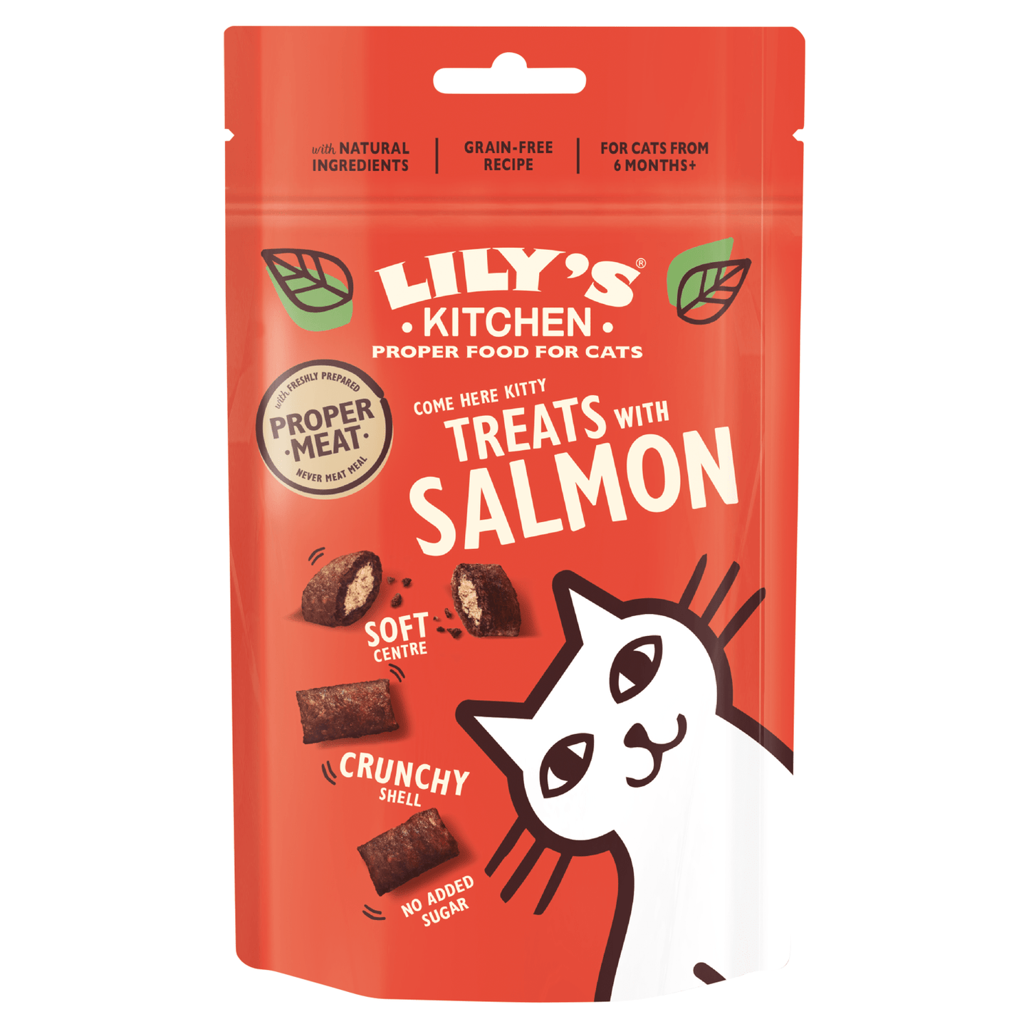 Lily's Kitchen Treats with Salmon 60g - UK Food & Drink - 5056273602538