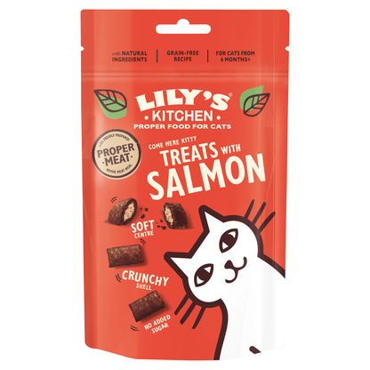 Lily's Kitchen Treats with Salmon 60g - UK Food & Drink - 5056273602538