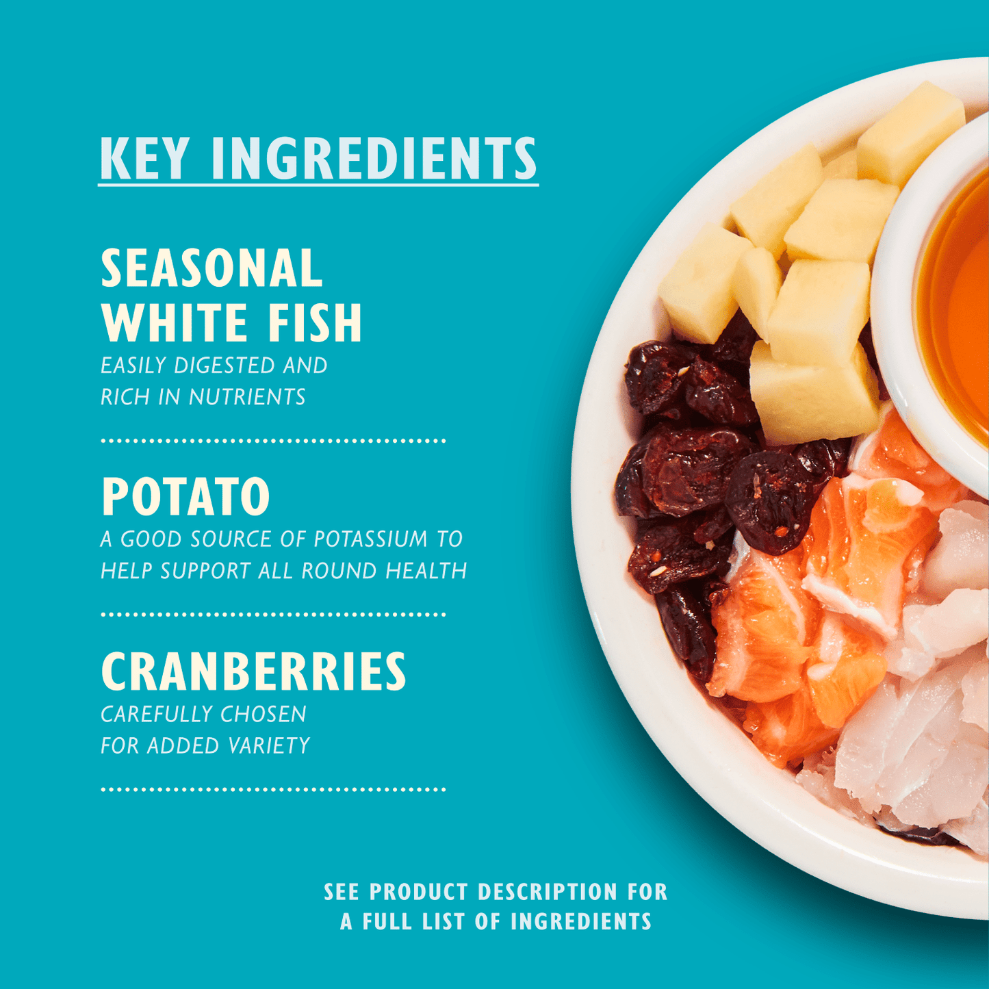 Lily's Kitchen White Fish with Salmon for Adult Cats 800g - UK Food & Drink - 5060184243360