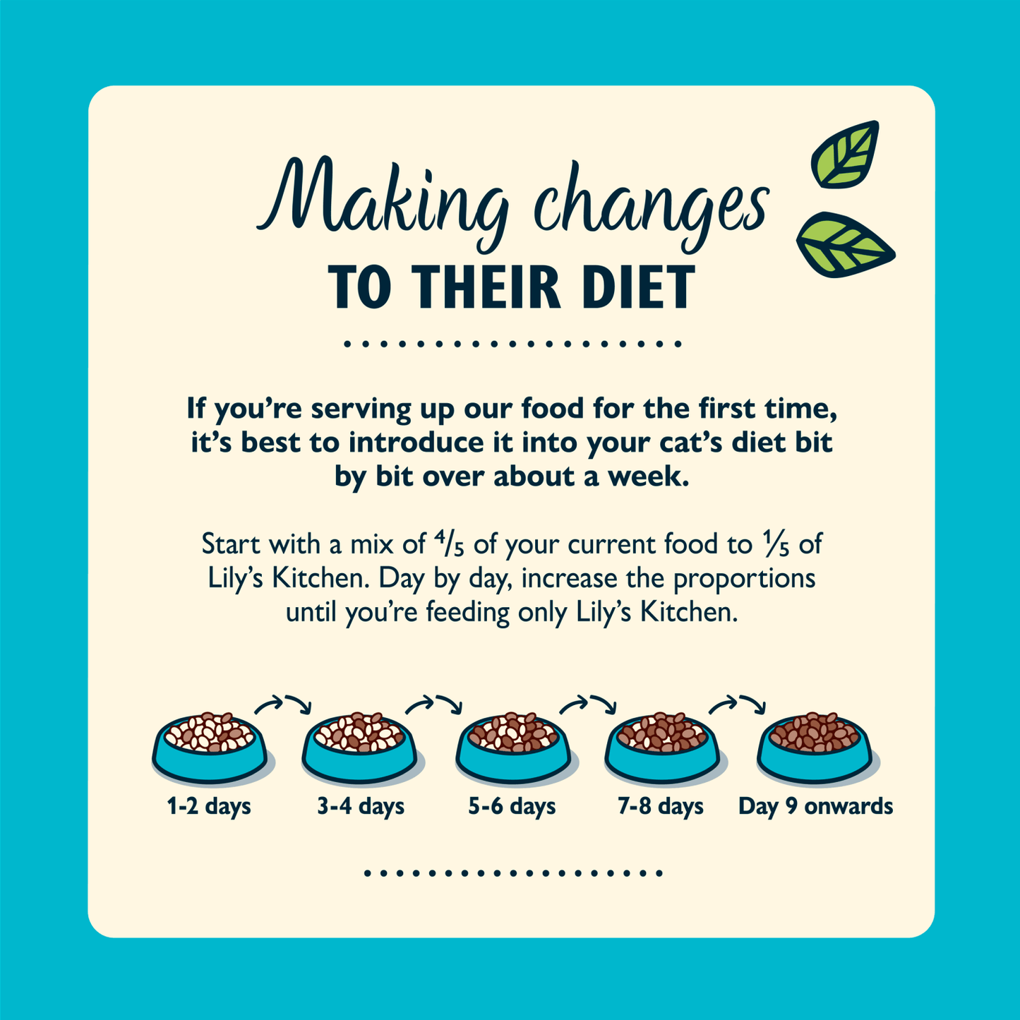 Lily's Kitchen White Fish with Salmon for Adult Cats 800g - UK Food & Drink - 5060184243360