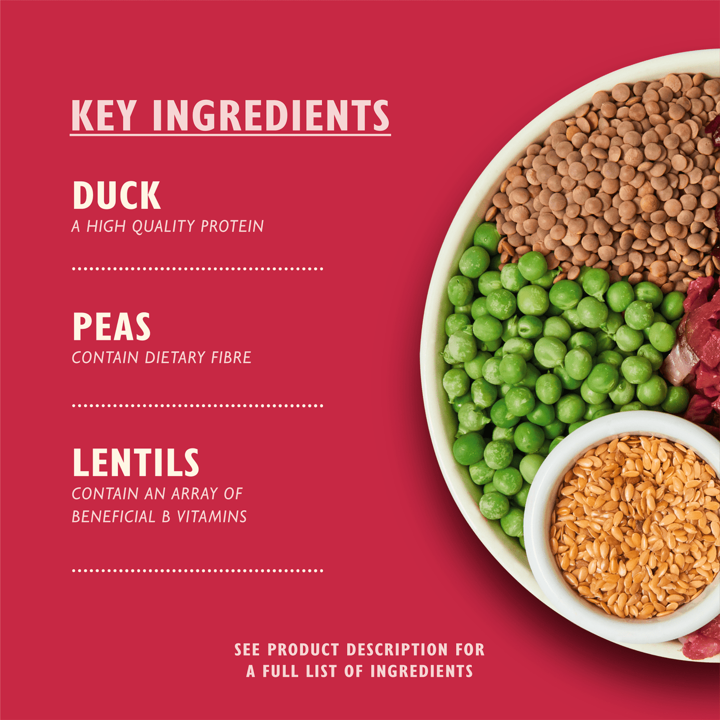 Lily's Kitchen Wild Woodland Walk with Duck, Salmon & Venison 1kg - UK Food & Drink - 5060184240499