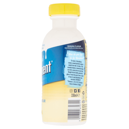 Nurishment Original Banana Flavour Milk Drink 330ml - UK Food & Drink - 5012389672711