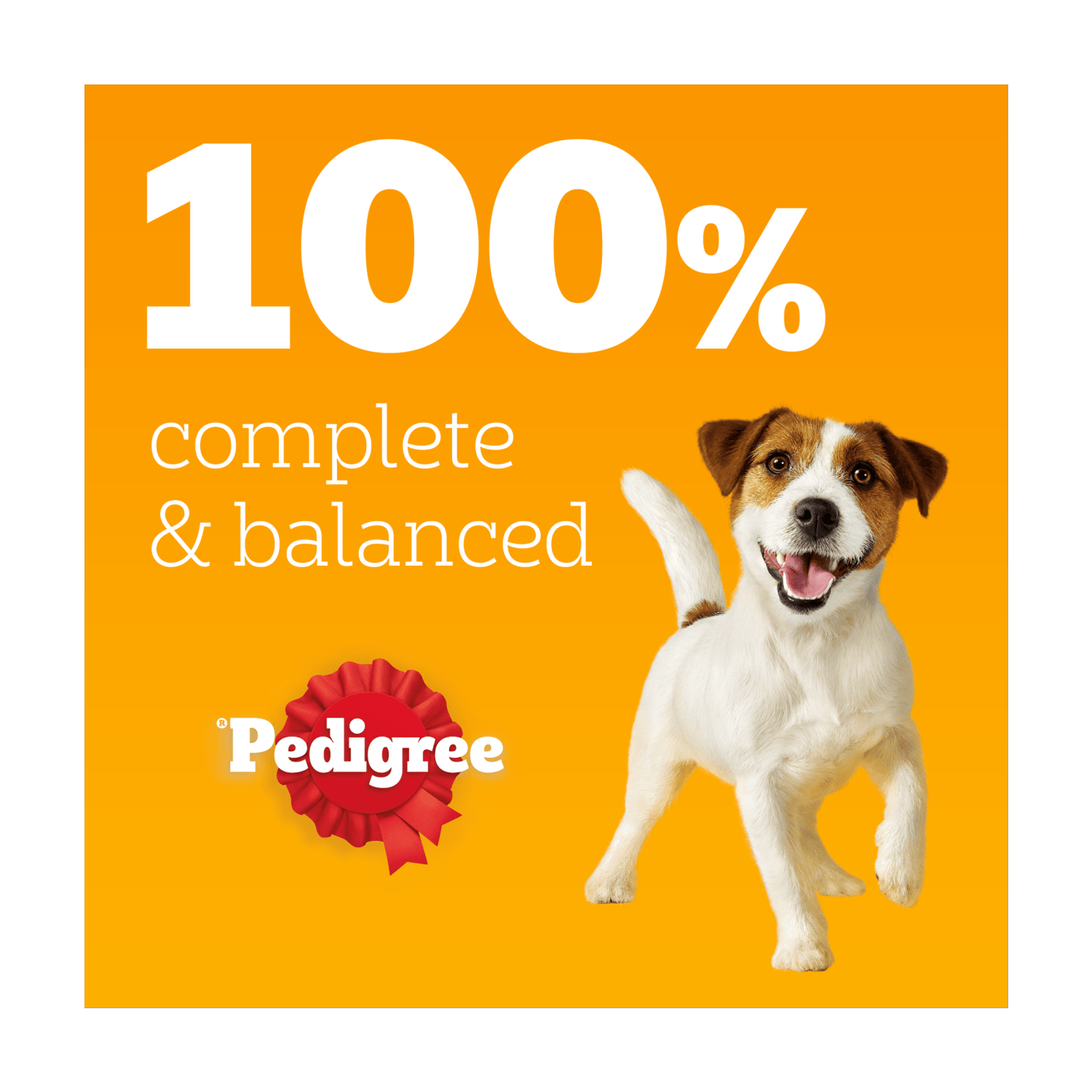 Pedigree Adult Wet Dog Food Pouches Chicken in Jelly 3 x 100g - UK Food & Drink - 5900951277979