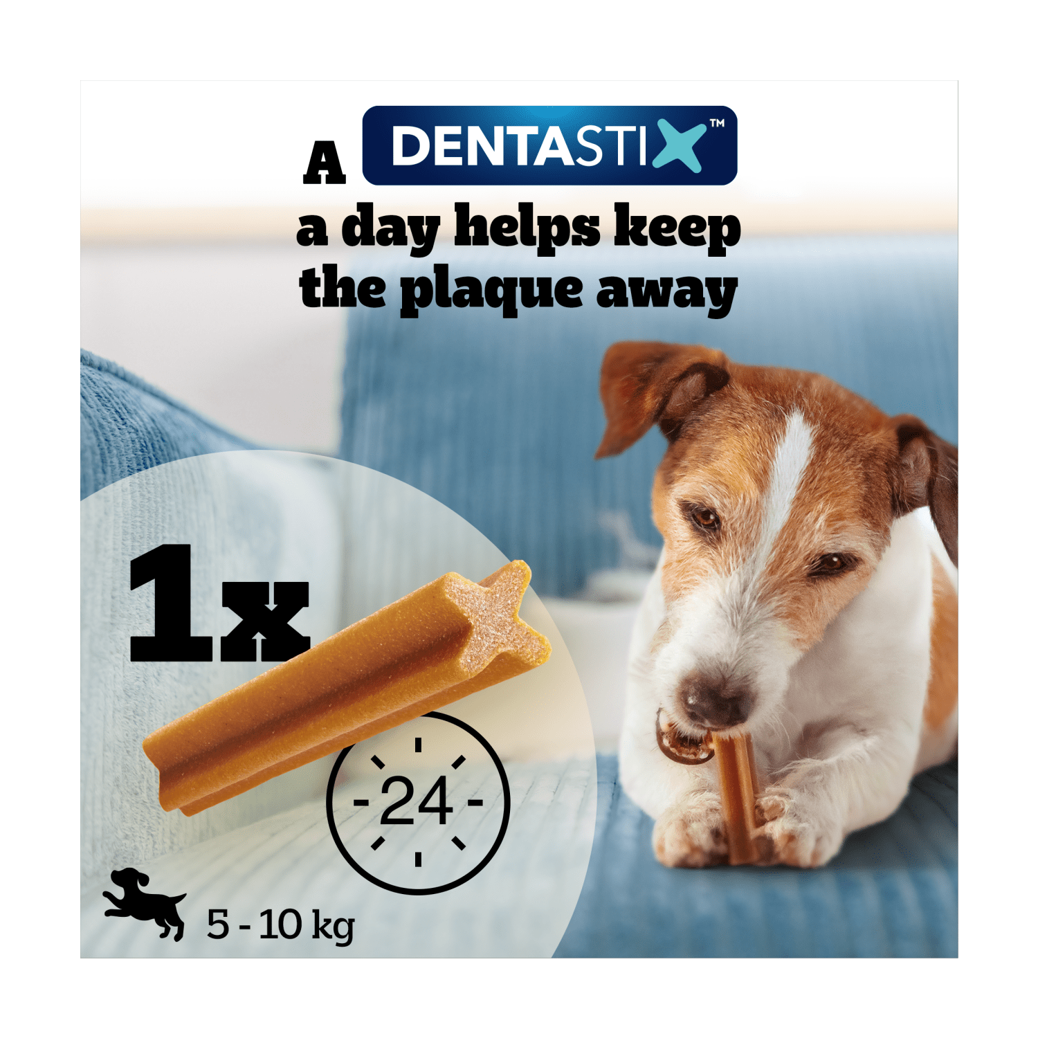 Pedigree Dentastix Daily Fresh Large 25kg+ 4 Sticks 154g - UK Food & Drink - 5010394984577