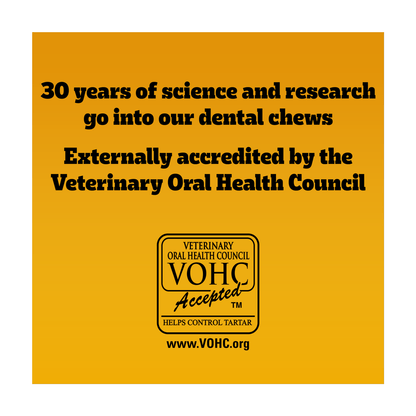 Pedigree Dentastix Daily Fresh Large 25kg+ 4 Sticks 154g - UK Food & Drink - 5010394984577