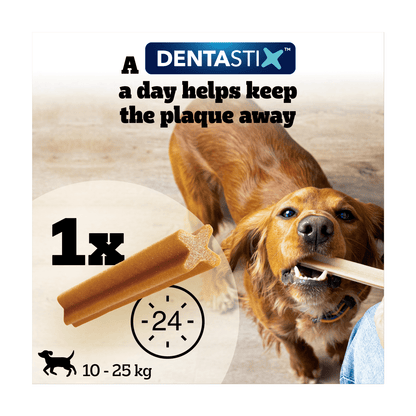 Pedigree Dentastix Daily Oral Care 10 - 25g 28 Sticks 4 x 180g (720g) - UK Food & Drink - 5998749105214