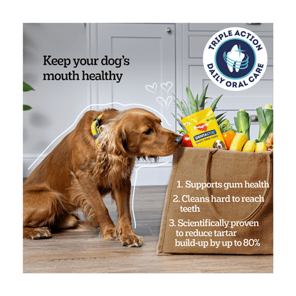 Pedigree Dentastix Daily Oral Care Large 25kg+ 4 Sticks 154g - UK Food & Drink - 5010394004688
