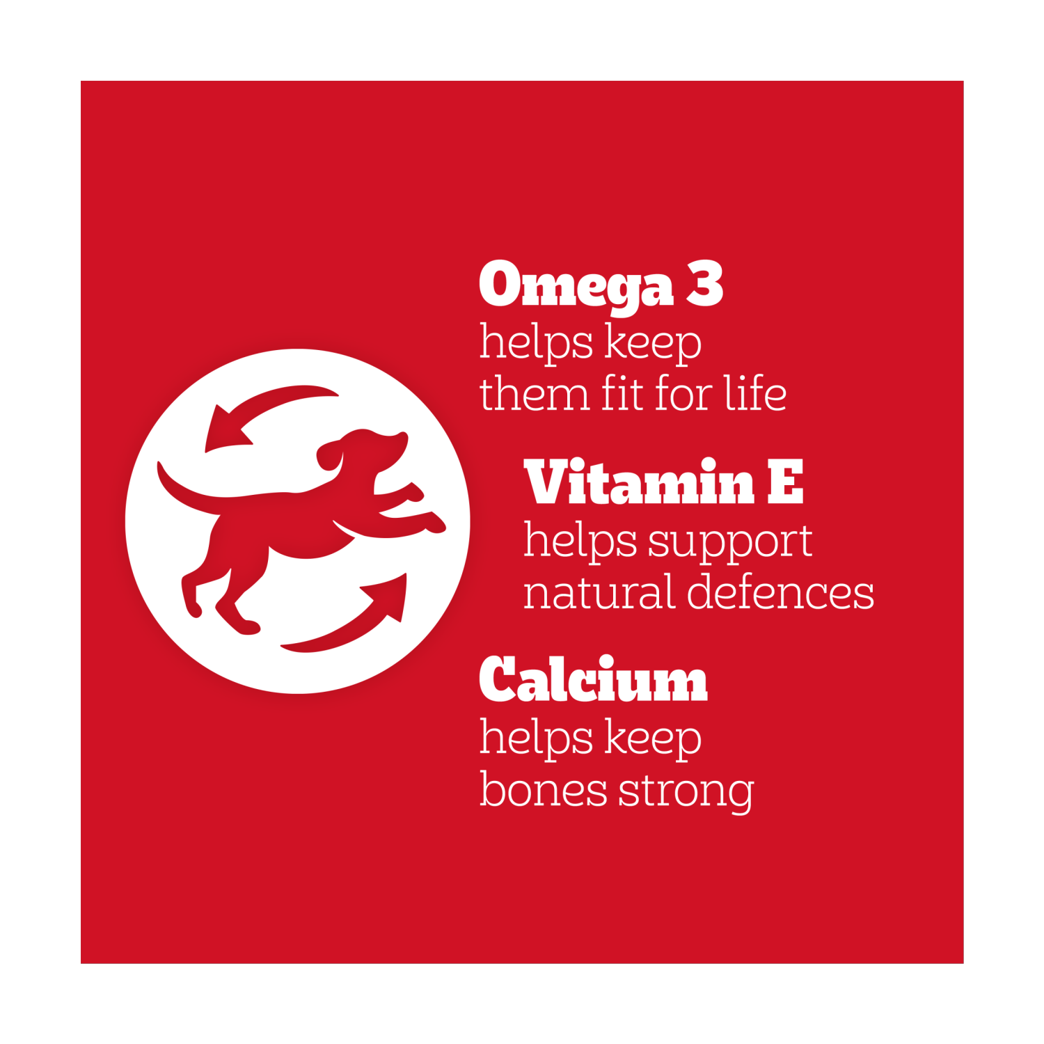 Pedigree Rodeo with Beef 123g - UK Food & Drink - 5010394003858