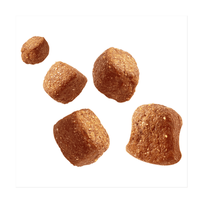 Pedigree Tasty Minis Adult Dog Treats Chicken & Duck Chewy Cubes 130g - UK Food & Drink - 5998749125564