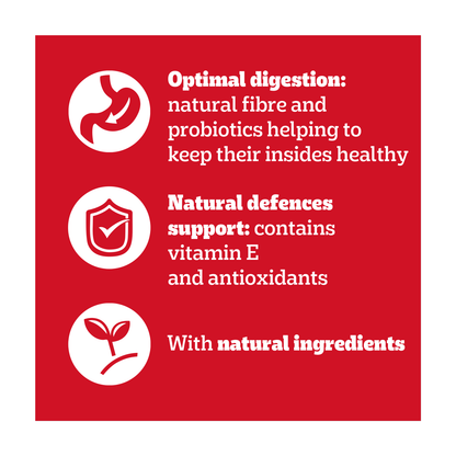 PEDIGREE¬Æ Adult Wet Dog Food Mixed in Gravy 40 x 100g Mega Pack Pouch - UK Food & Drink - 5900951267857