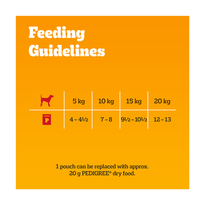 PEDIGREE¬Æ Adult Wet Dog Food Mixed in Gravy 40 x 100g Mega Pack Pouch - UK Food & Drink - 5900951267857