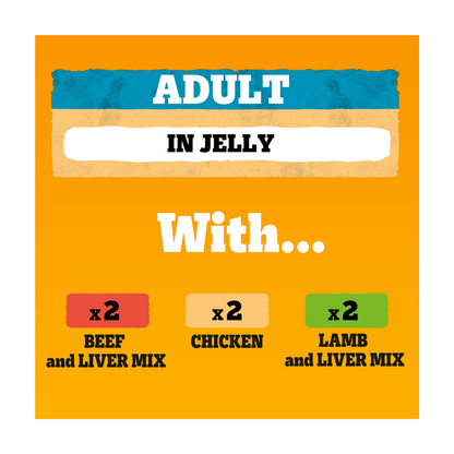 PEDIGREE¬Æ Adult Wet Dog Food Mixed Selection Chunks in Jelly 6 x 385g Can - UK Food & Drink - 5000166123747