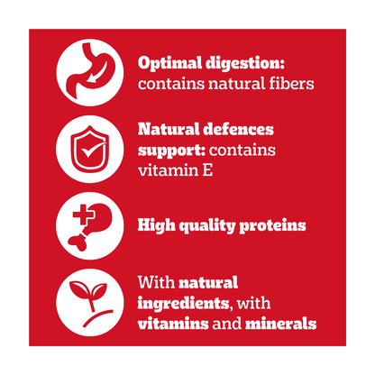 PEDIGREE¬Æ Adult Wet Dog Food Mixed Selection in Gravy 6 x 400g Can - UK Food & Drink - 5000166061643