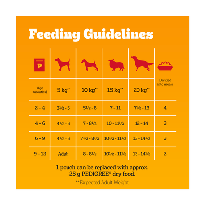 PEDIGREE¬Æ Junior Puppy Wet Dog Food Mixed Selection In Jelly 12x100g Pouch - UK Food & Drink - 3065890123915