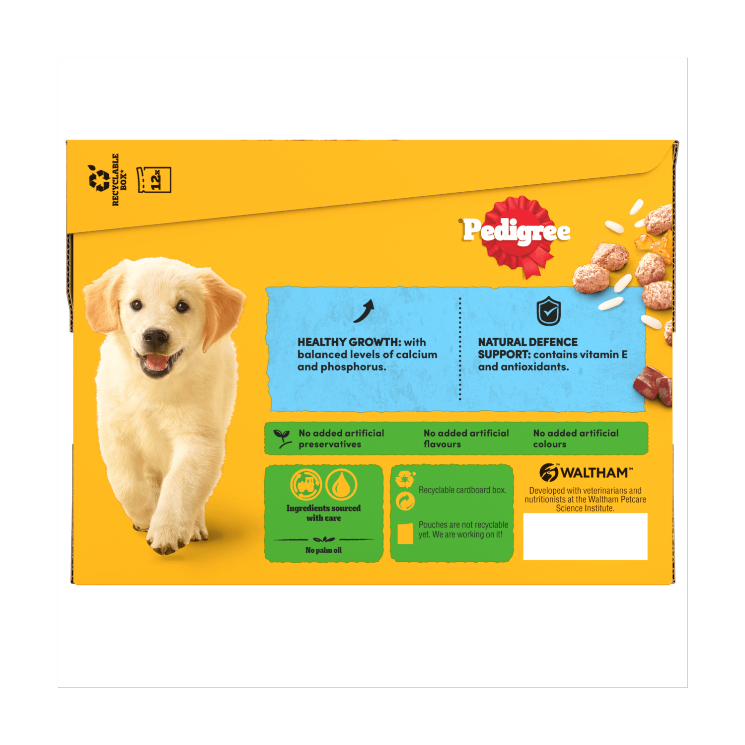 PEDIGREE¬Æ Junior Puppy Wet Dog Food Mixed Selection In Jelly 12x100g Pouch - UK Food & Drink - 3065890123915