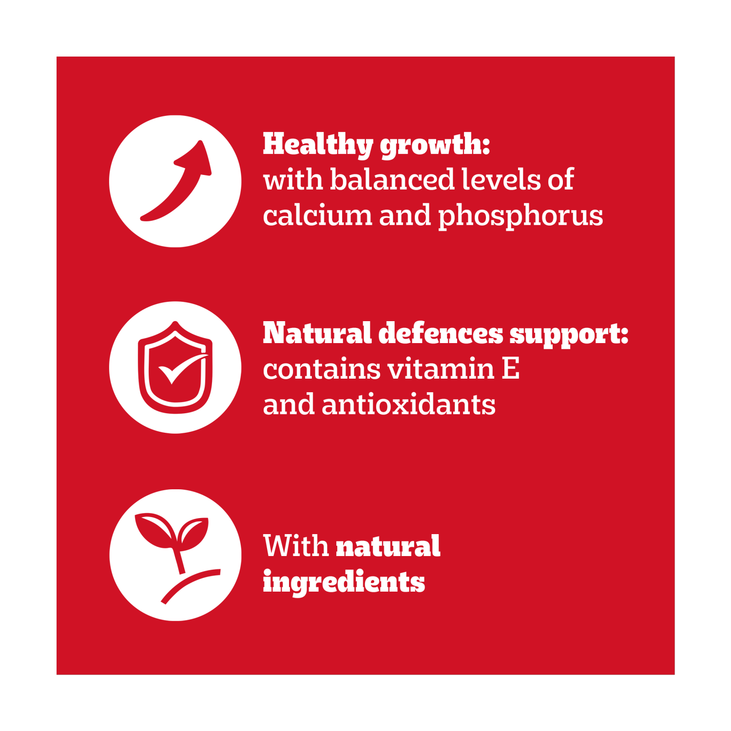 PEDIGREE¬Æ Junior Puppy Wet Dog Food Mixed Selection In Jelly 12x100g Pouch - UK Food & Drink - 3065890123915