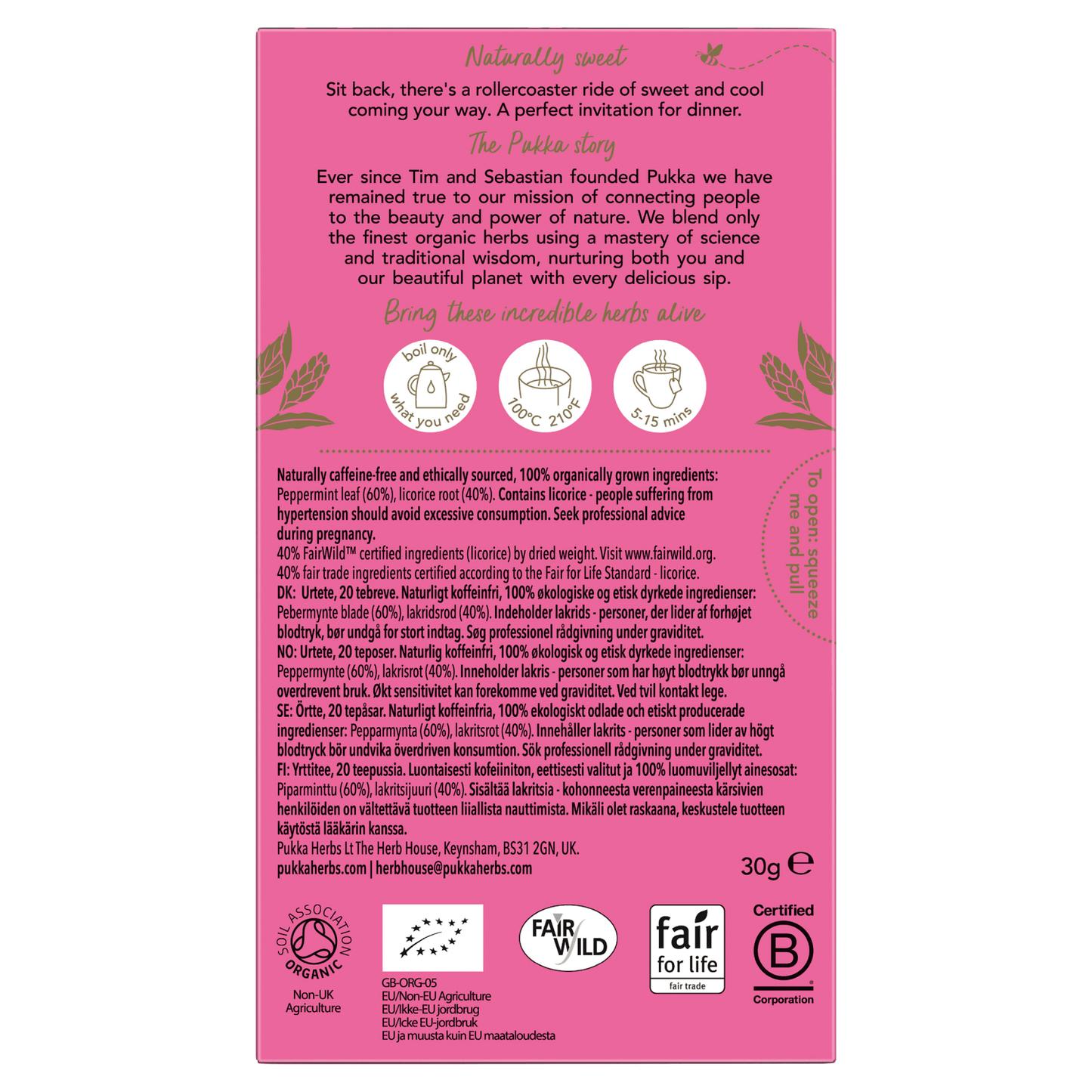 Pukka Organic Peppermint & Licorice 20 Herbal Tea Sachets 30g - UK Food & Drink - 5060229011107