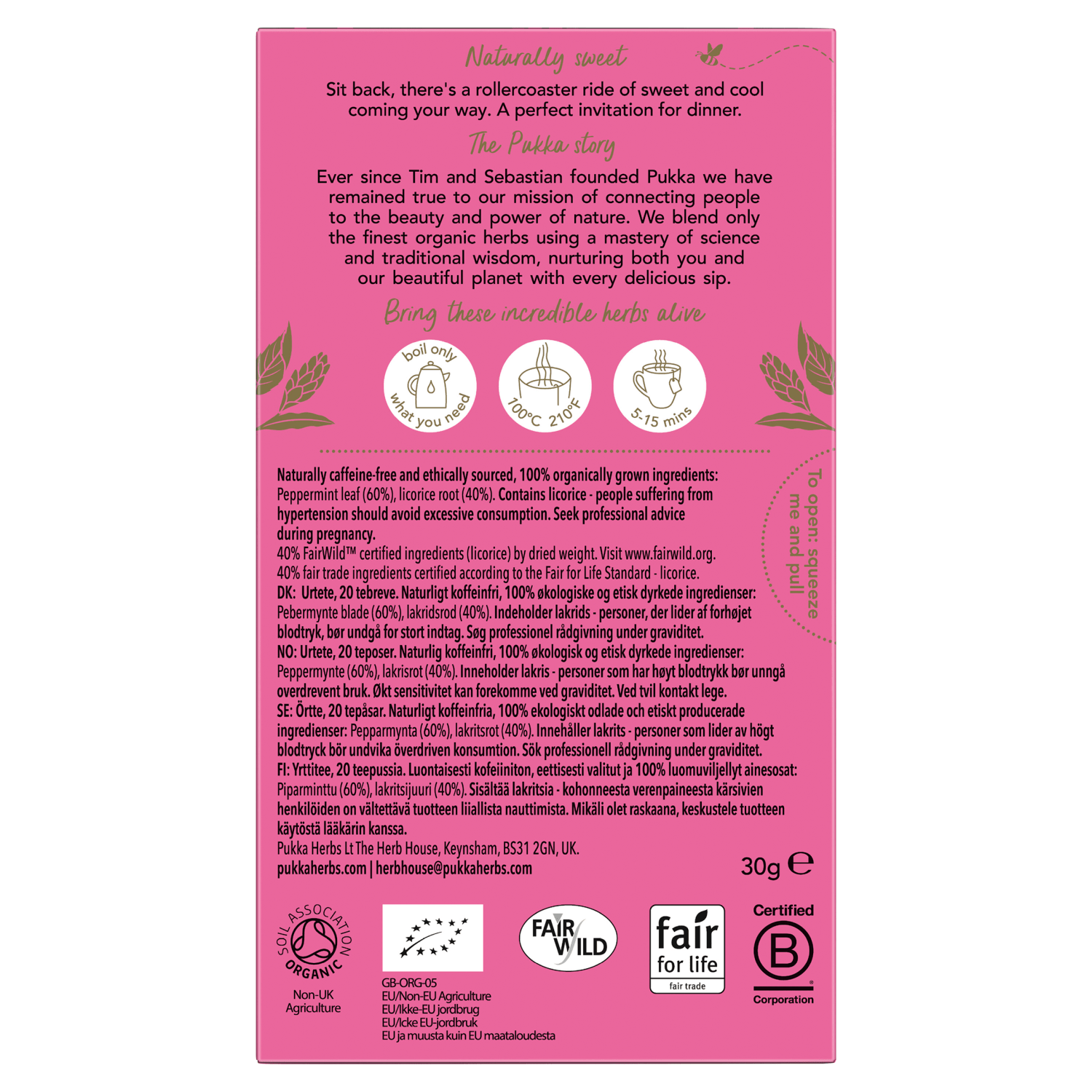Pukka Organic Peppermint & Licorice 20 Herbal Tea Sachets 30g - UK Food & Drink - 5060229011107