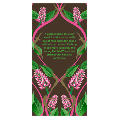 Pukka Organic Peppermint & Licorice 20 Herbal Tea Sachets 30g - UK Food & Drink - 5060229011107