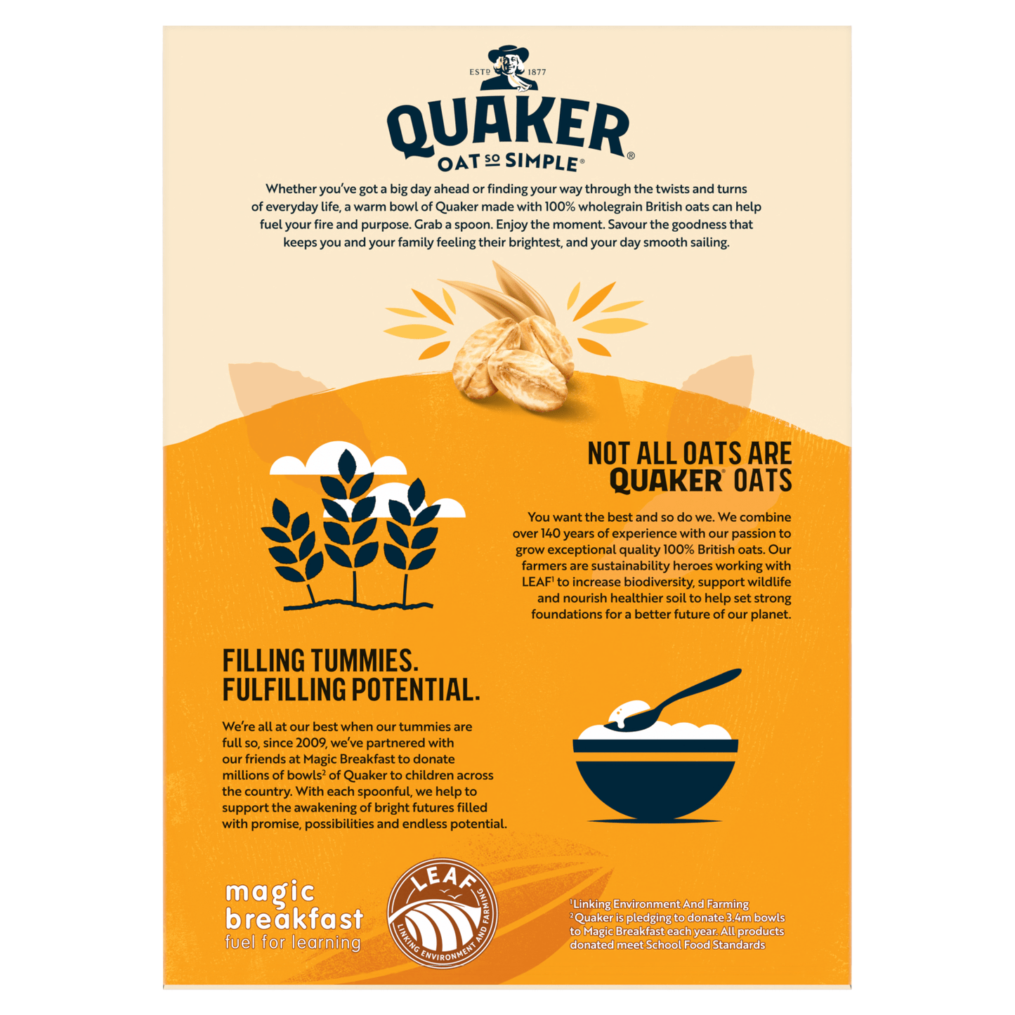 Quaker Oat So Simple Big Bowl Golden Syrup Porridge Sachets 6x49.6g - UK Food & Drink - 5000108170938
