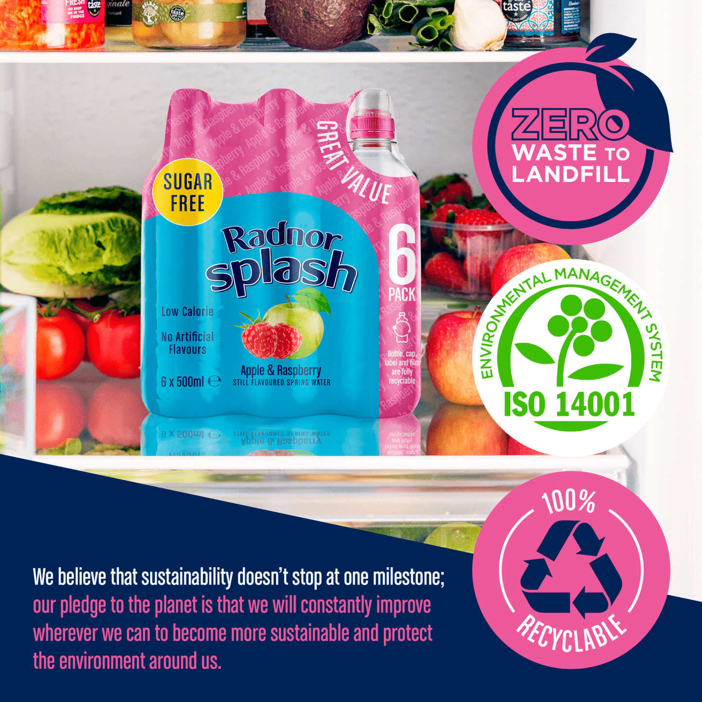 Radnor Splash Apple & Raspberry Still Flavoured Spring Water 6 x 500ml - UK Food & Drink - 5026109009770