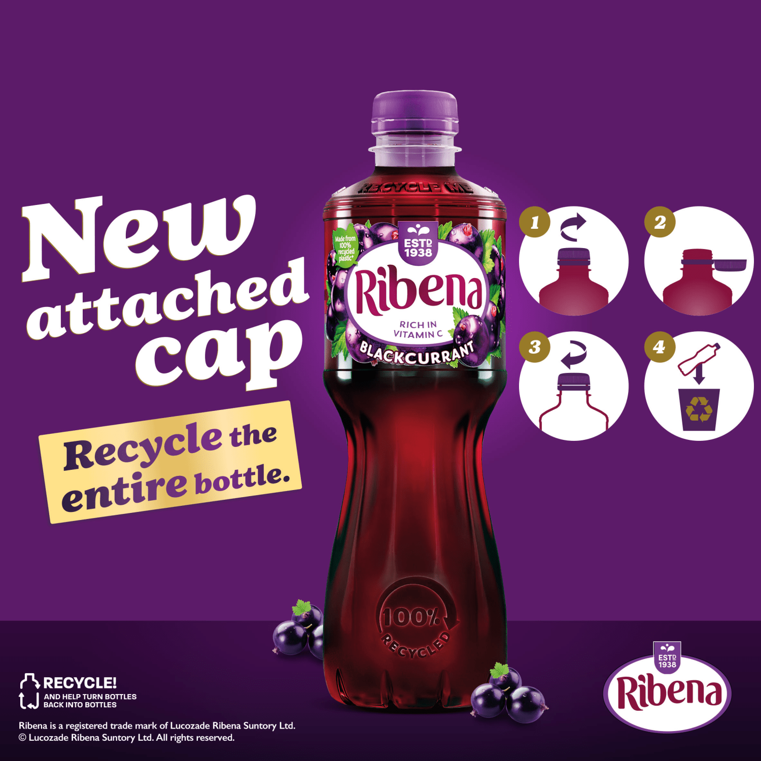 Ribena Blackcurrant Juice Drink 500ml - UK Food & Drink - 5054267002333