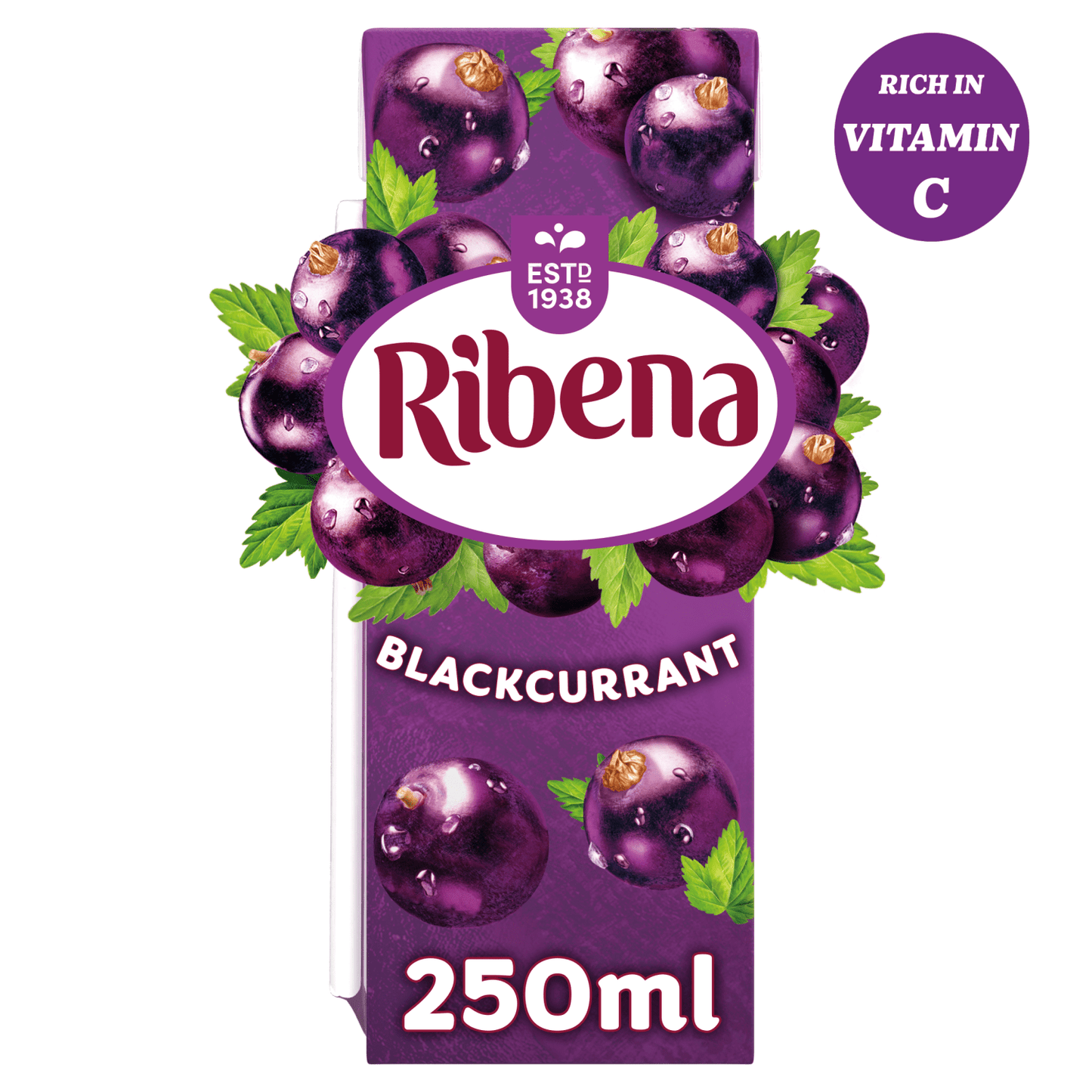 Ribena Blackcurrant Juice Drink Carton 250ml - UK Food & Drink - 5054267006102