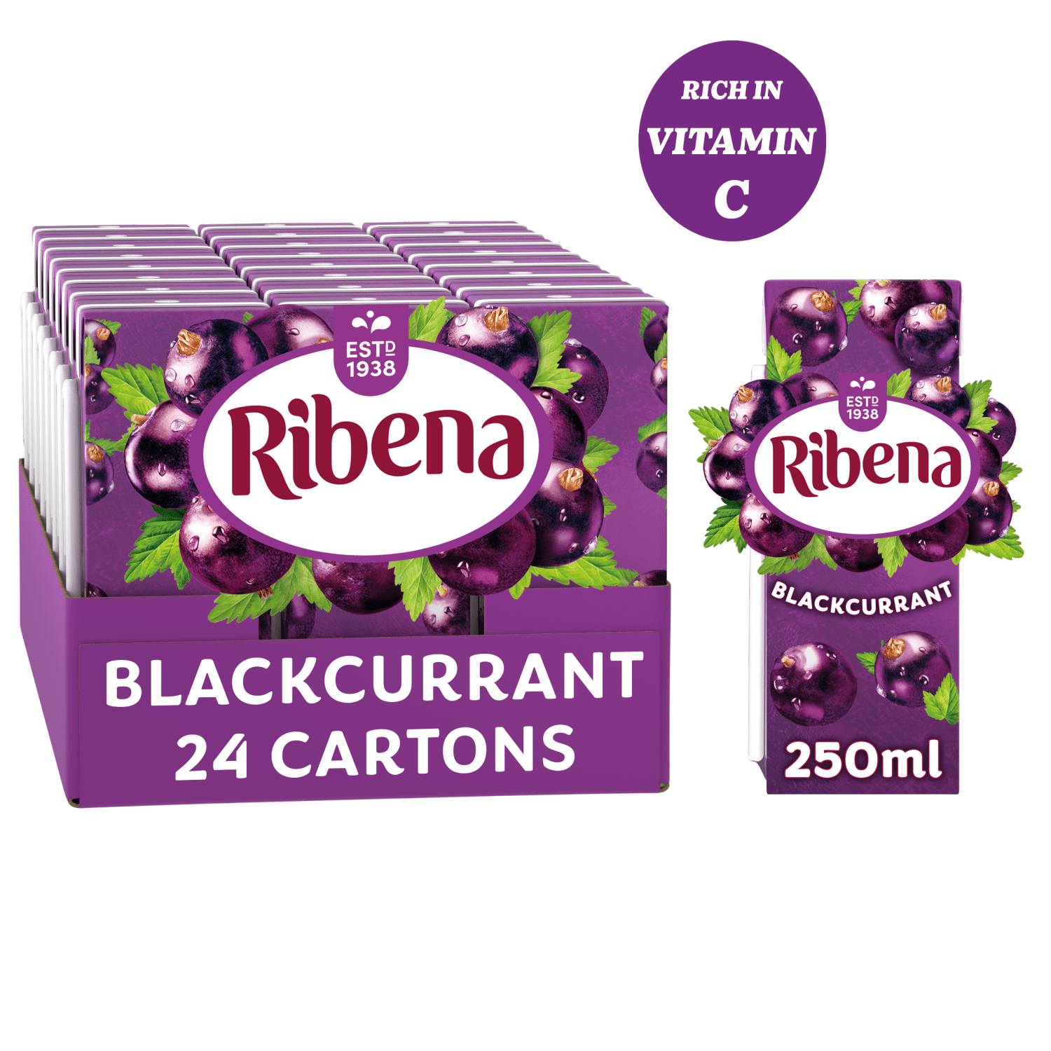 Ribena Blackcurrant Juice Drink Carton 250ml - UK Food & Drink - 5054267006102