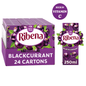 Ribena Blackcurrant Juice Drink Carton 250ml - UK Food & Drink - 5054267006102