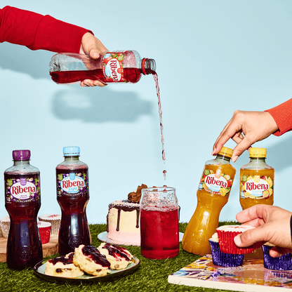 Ribena Strawberry Juice Drink No Added Sugar 500ml - UK Food & Drink - 5054267002319