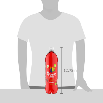 Rubicon Spring Strawberry Kiwi Flavoured Sparkling Spring Water 1.5 Litre - UK Food & Drink - 5000382104360