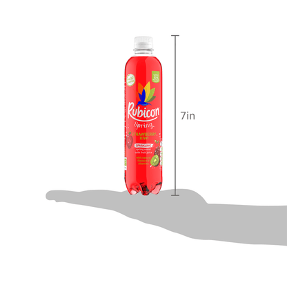 Rubicon Spring Strawberry Kiwi Flavoured Sparkling Spring Water 500ml - UK Food & Drink - 5000382102182