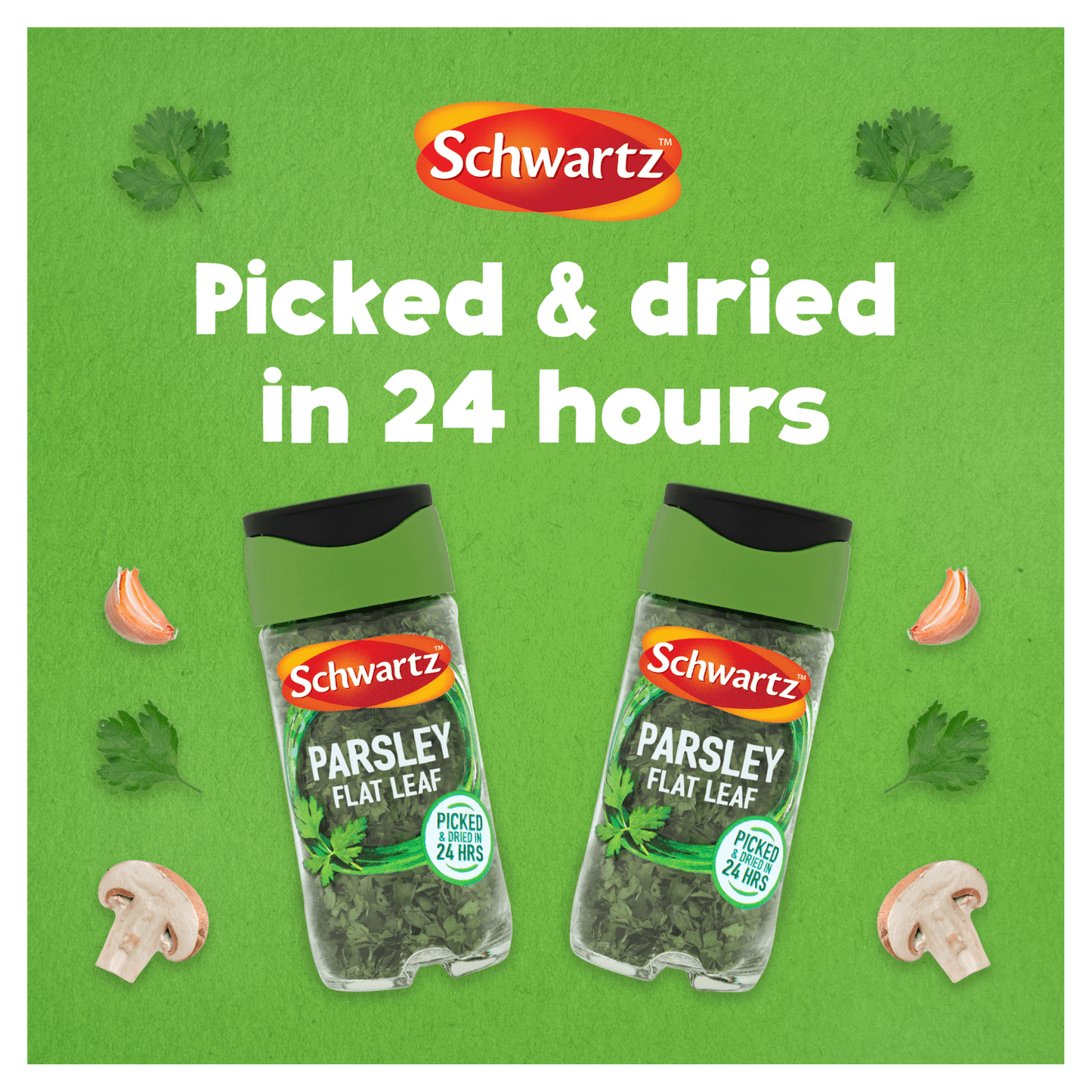Schwartz Parsley Flat Leaf 3g - UK Food & Drink - 50191697