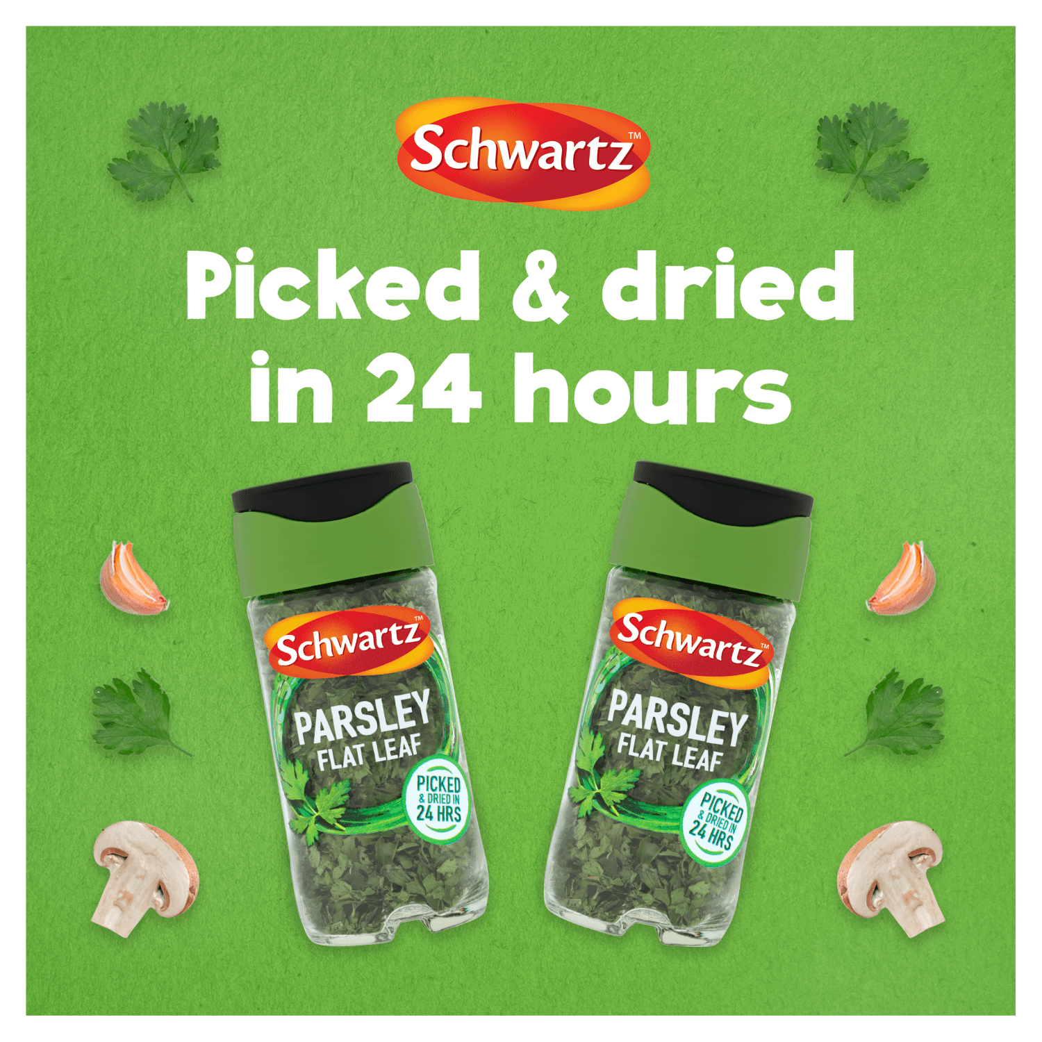 Schwartz Parsley Flat Leaf 3g - UK Food & Drink - 50191697