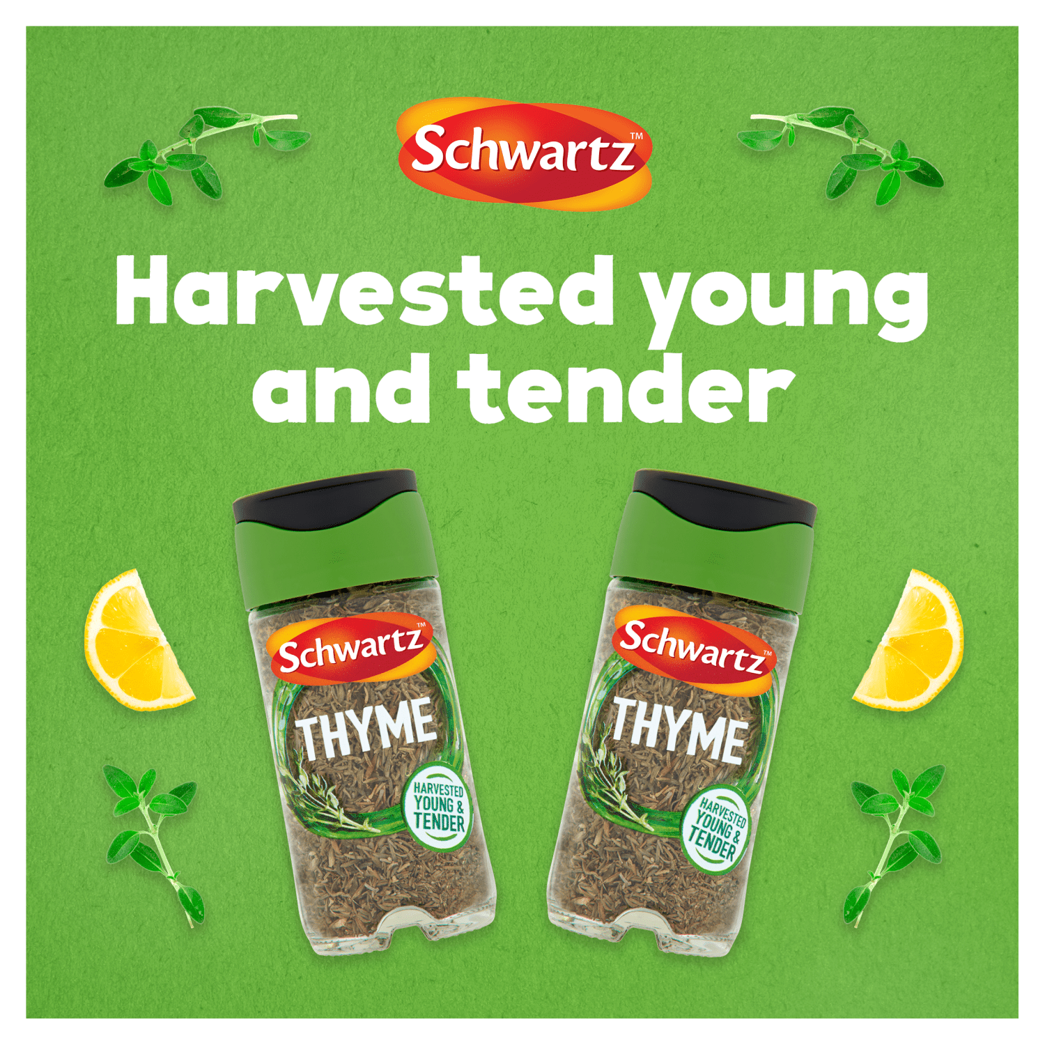 Schwartz Thyme 11g - UK Food & Drink - 50019908