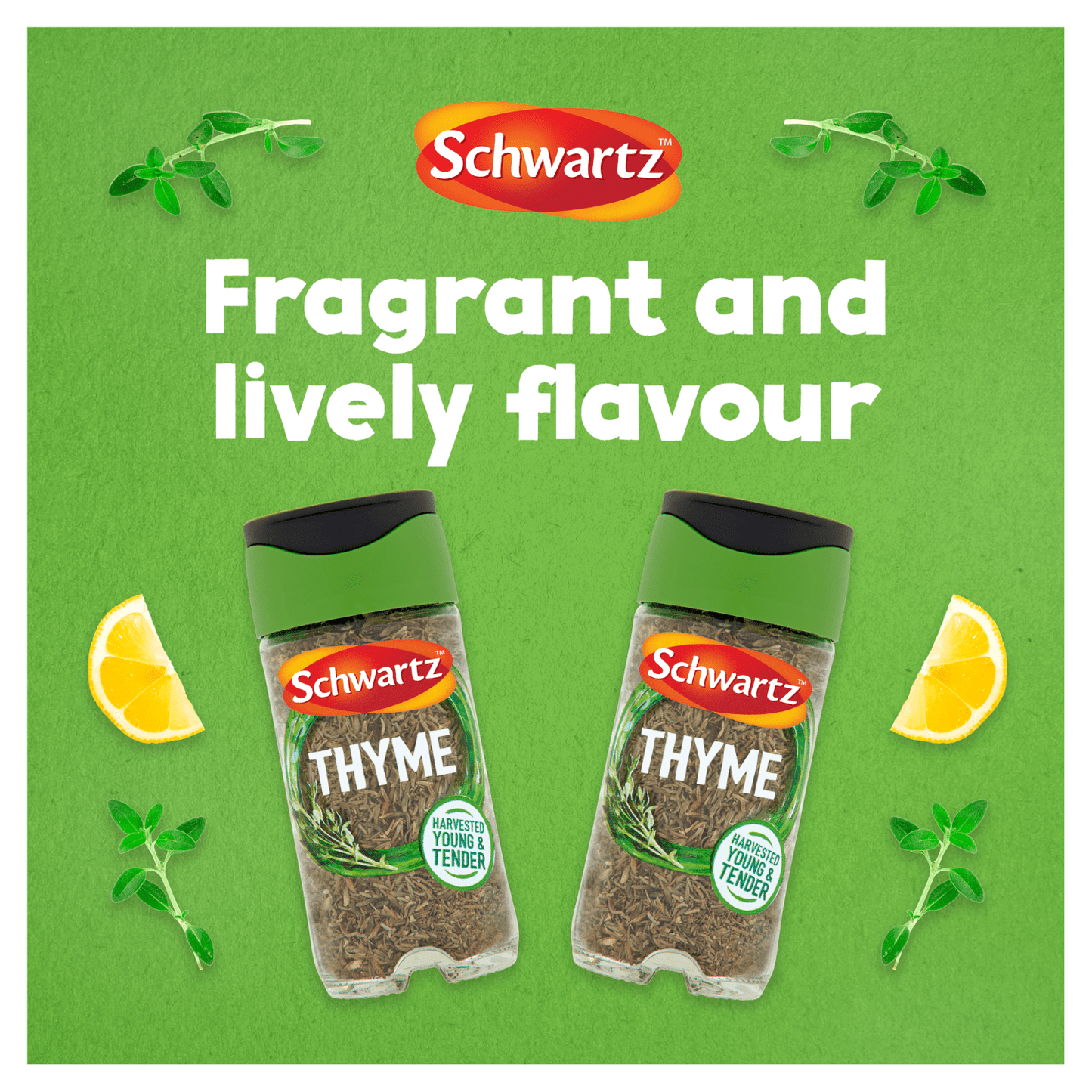 Schwartz Thyme 11g - UK Food & Drink - 50019908