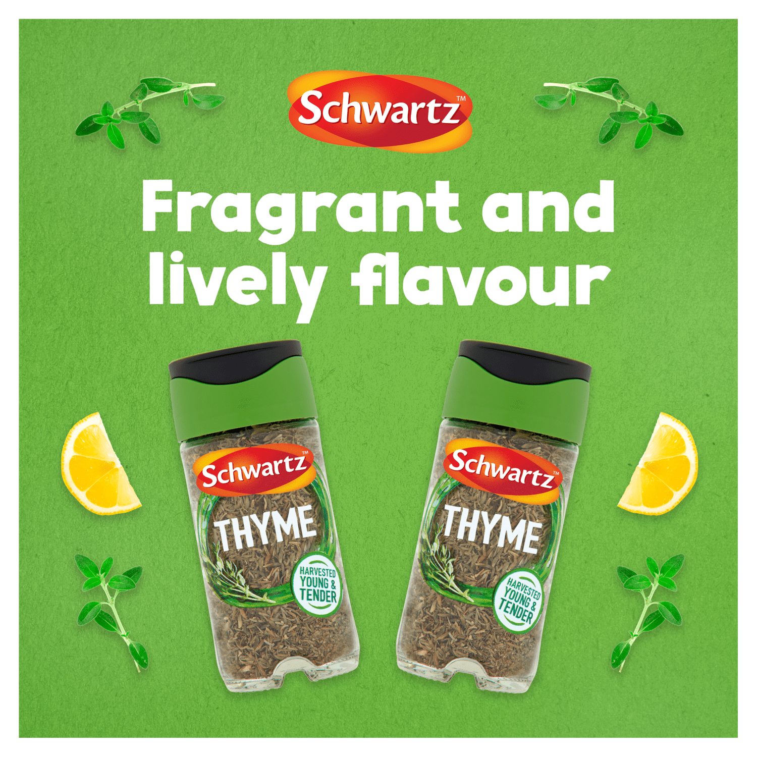 Schwartz Thyme 11g - UK Food & Drink - 50019908