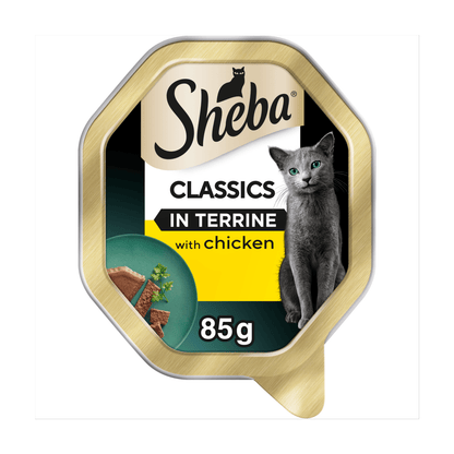 Sheba Classics Adult Cat Food Tray with Chicken in Terrine 85g - UK Food & Drink - 4008429163906