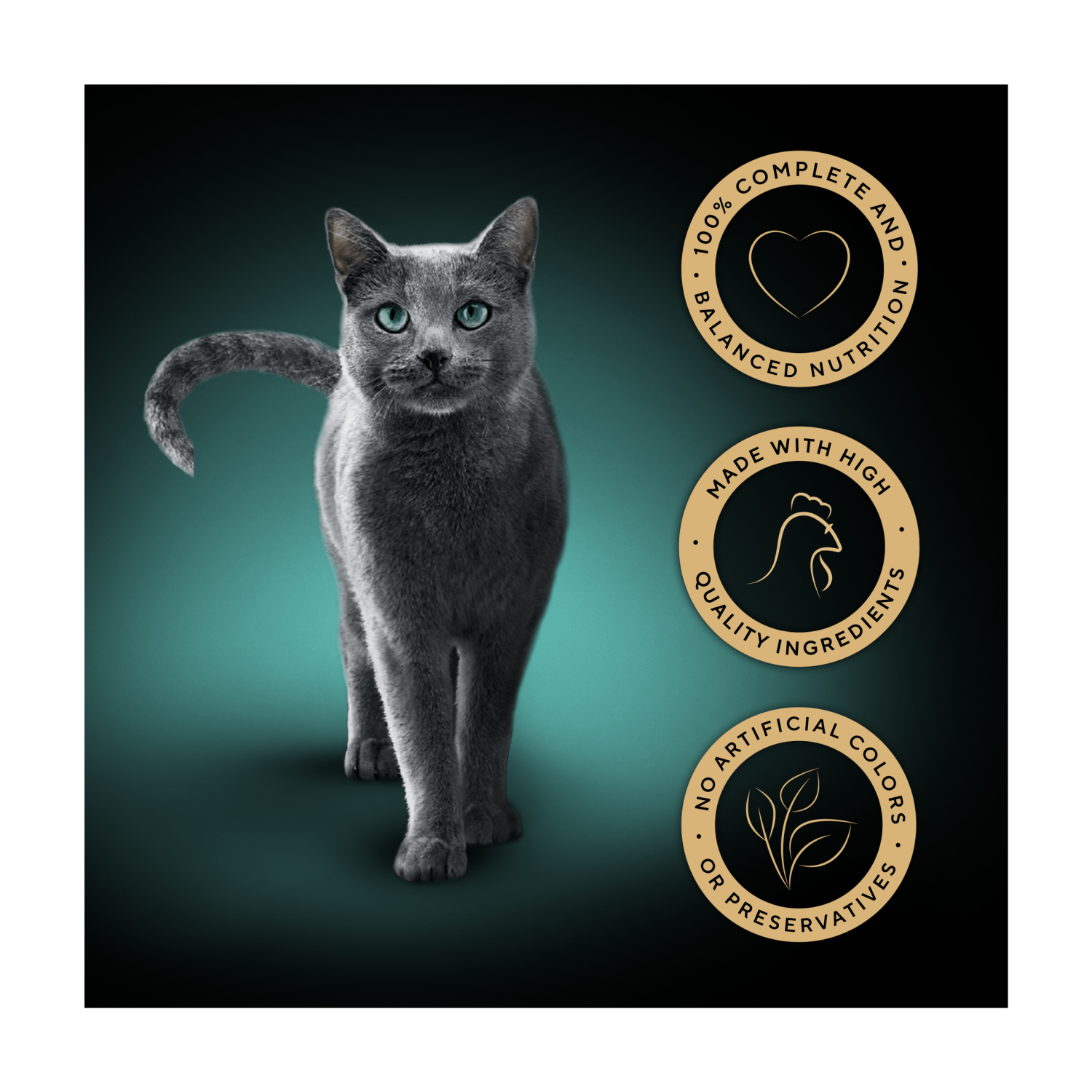 Sheba Classics Adult Cat Food Tray with Chicken in Terrine 85g - UK Food & Drink - 4008429163906