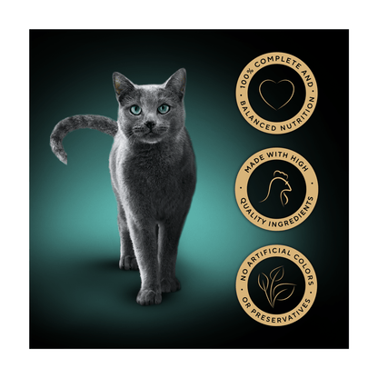 Sheba Classics Adult Cat Food Tray with Chicken in Terrine 85g - UK Food & Drink - 4008429163906