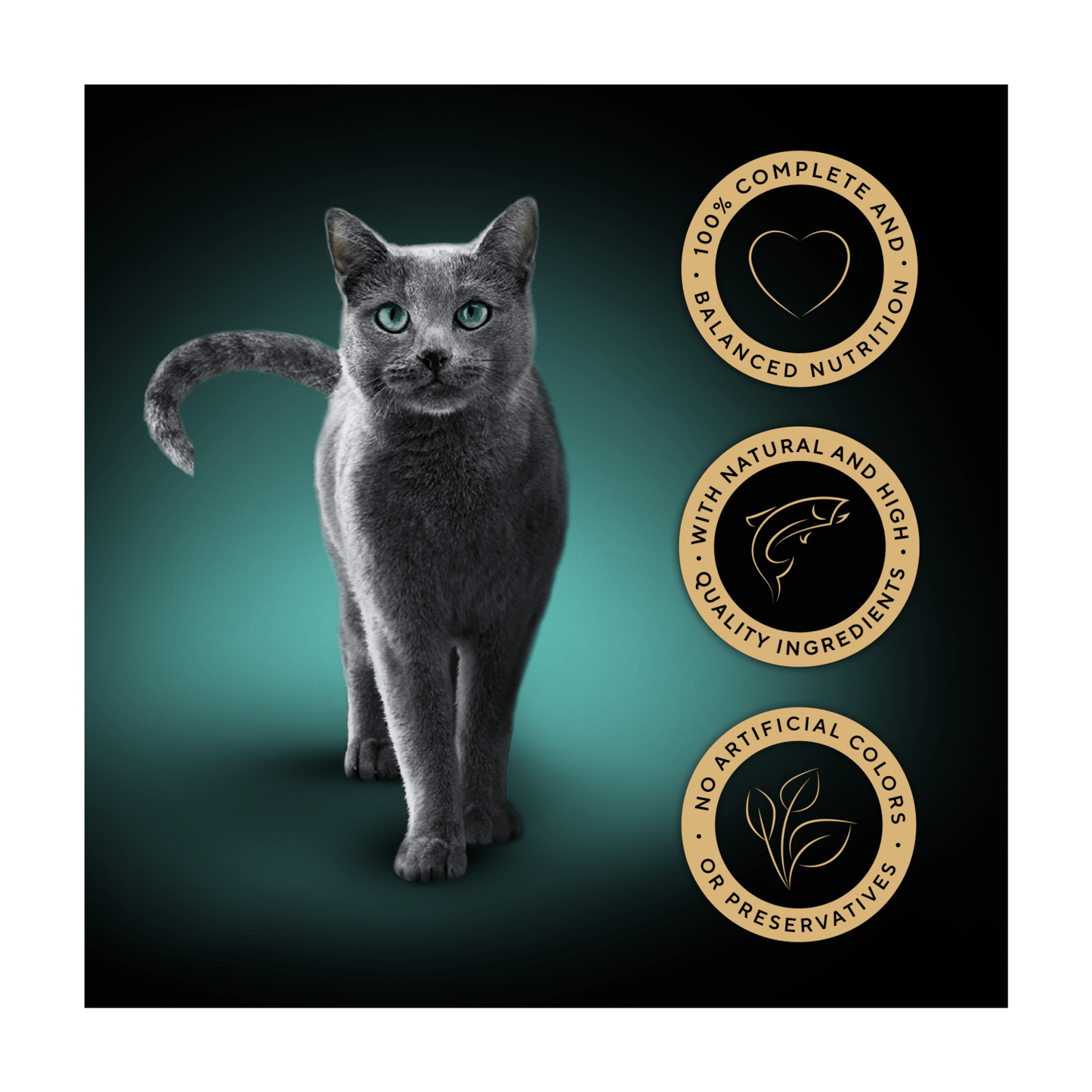 Sheba Fine Flakes In Jelly with Salmon 85g - UK Food & Drink - 4008429166730