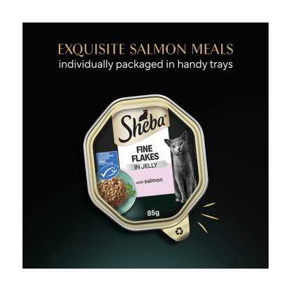 Sheba Fine Flakes In Jelly with Salmon 85g - UK Food & Drink - 4008429166730