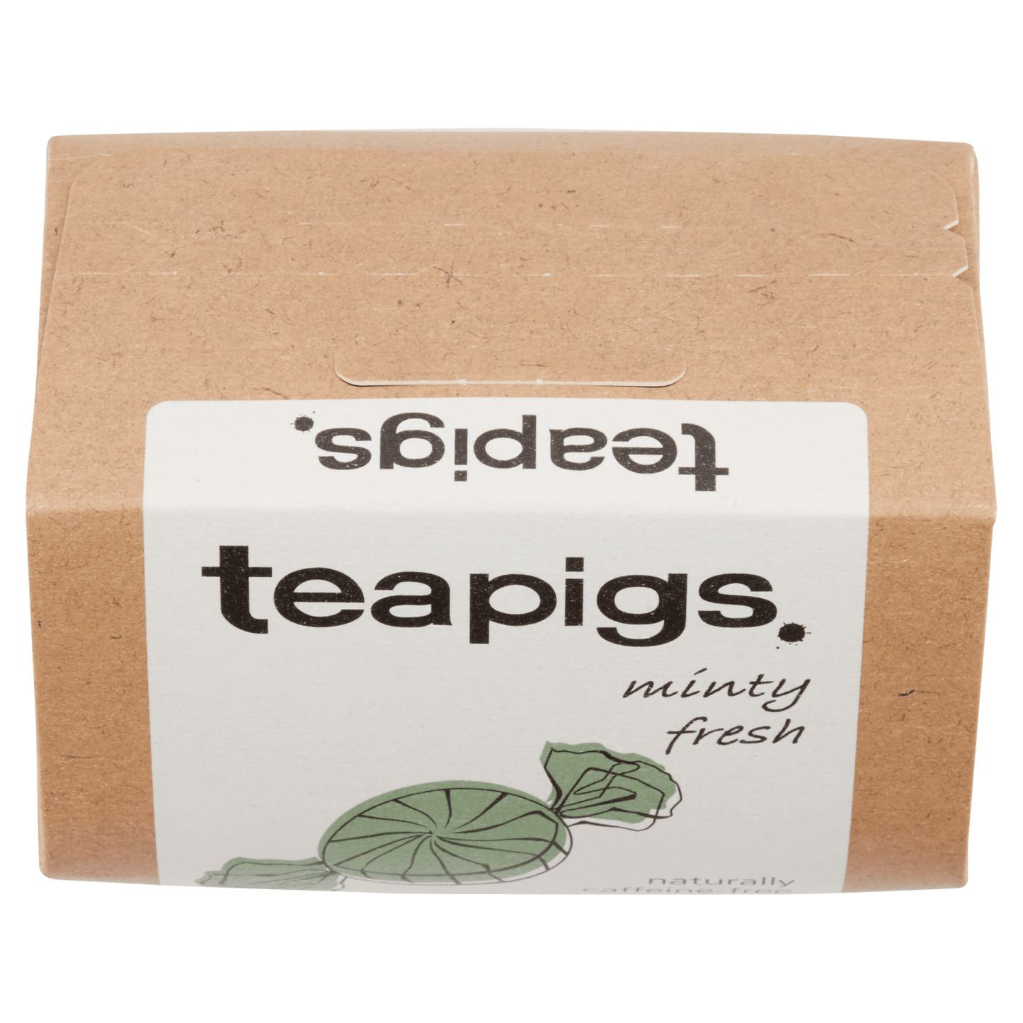Teapigs Peppermint Leaves 50 Biodegradable Tea Temples 100g - UK Food & Drink - 5060136753022