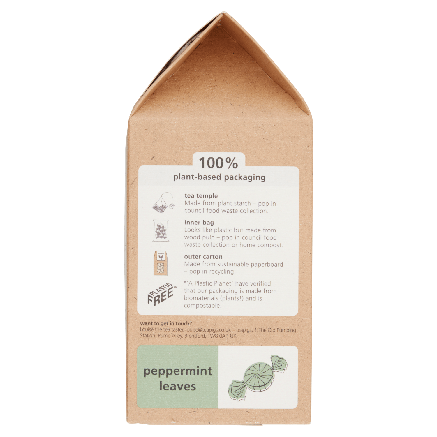 Teapigs Peppermint Leaves 50 Biodegradable Tea Temples 100g - UK Food & Drink - 5060136753022