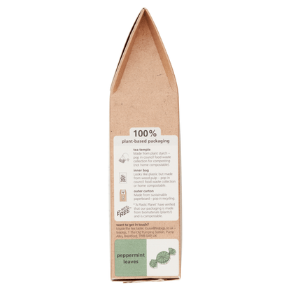 Teapigs Peppermint Leaves Tea Temples 15 x 2g (30g) - UK Food & Drink - 5060136750144